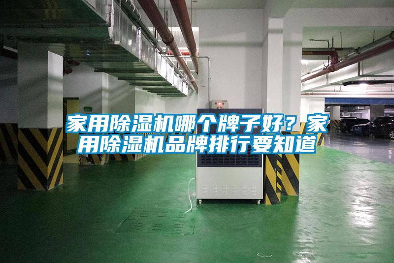 家用除濕機哪個牌子好？家用除濕機品牌排行要知道