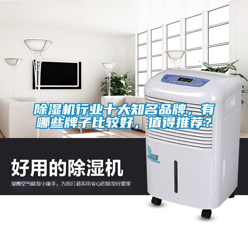 除濕機(jī)行業(yè)十大知名品牌，有哪些牌子比較好，值得推薦？