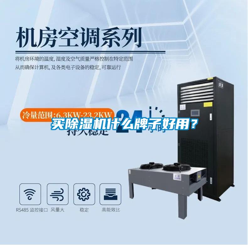 買除濕機(jī)什么牌子好用？