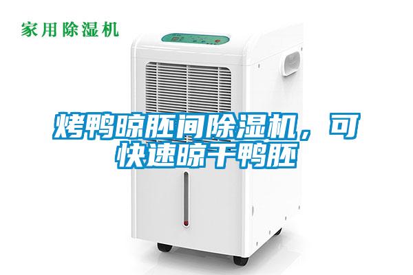 烤鴨晾胚間除濕機(jī)，可快速晾干鴨胚