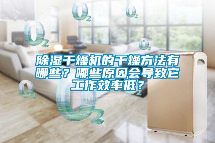 除濕干燥機的干燥方法有哪些？哪些原因會導致它工作效率低？