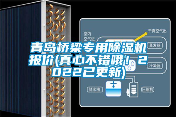 青島橋梁專用除濕機(jī)報(bào)價(jià)(真心不錯(cuò)哦！2022已更新)