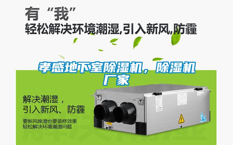 孝感地下室除濕機(jī)，除濕機(jī)廠家