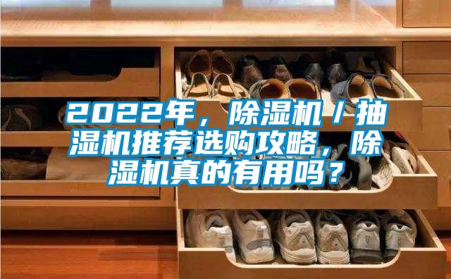 2022年，除濕機／抽濕機推薦選購攻略，除濕機真的有用嗎？