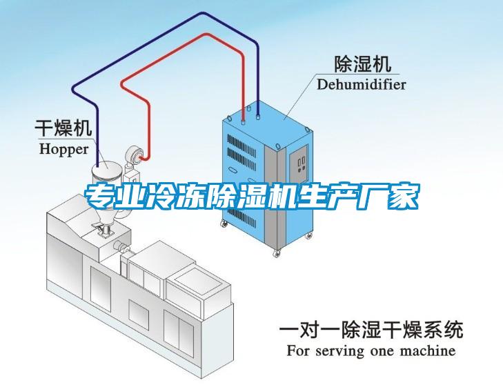 專(zhuān)業(yè)冷凍除濕機(jī)生產(chǎn)廠(chǎng)家