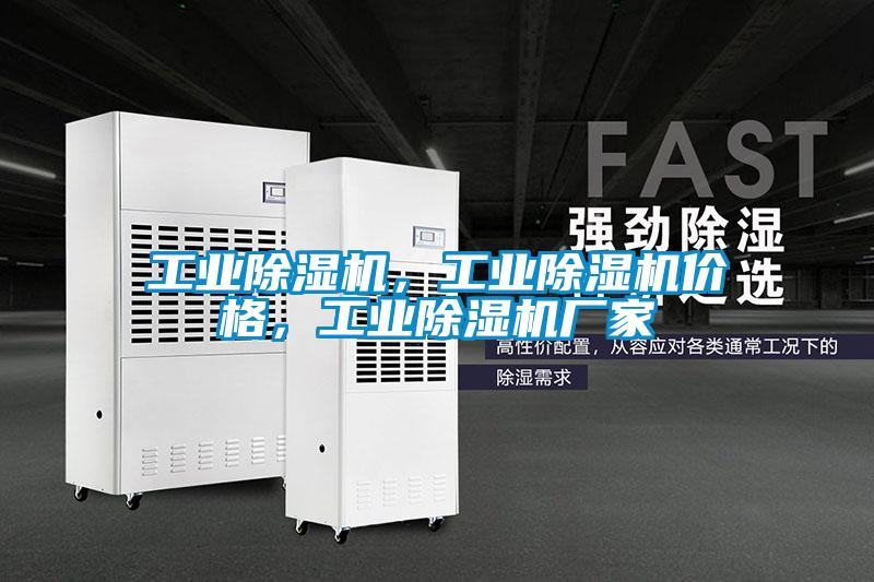 工業(yè)除濕機(jī)，工業(yè)除濕機(jī)價格，工業(yè)除濕機(jī)廠家