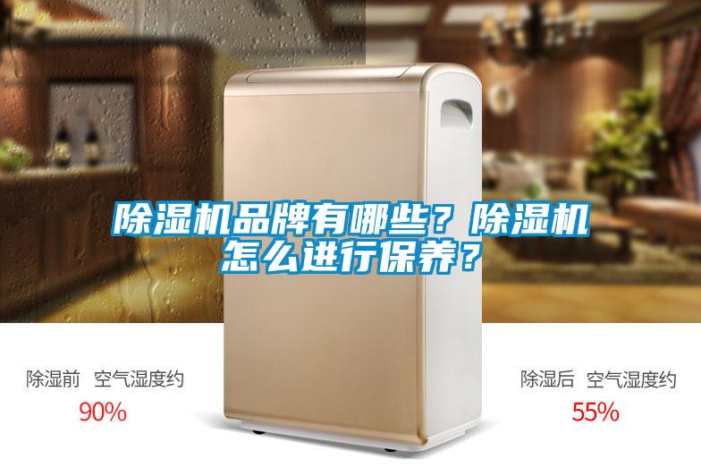 除濕機(jī)品牌有哪些？除濕機(jī)怎么進(jìn)行保養(yǎng)？