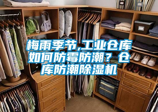 梅雨季節(jié),工業(yè)倉庫如何防霉防潮？倉庫防潮除濕機(jī)