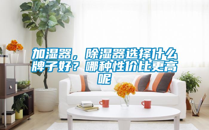加濕器，除濕器選擇什么牌子好？哪種性價(jià)比更高呢