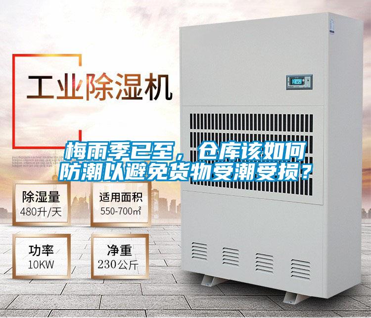 梅雨季已至，倉庫該如何防潮以避免貨物受潮受損？