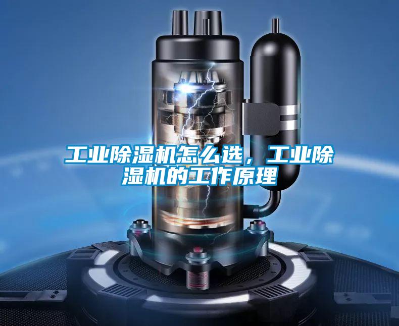工業(yè)除濕機(jī)怎么選，工業(yè)除濕機(jī)的工作原理