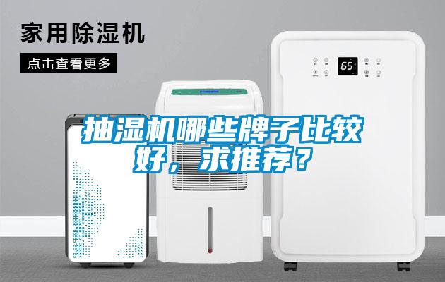 抽濕機(jī)哪些牌子比較好，求推薦？