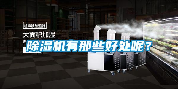 除濕機(jī)有那些好處呢？