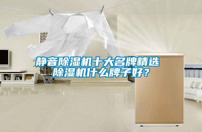 靜音除濕機(jī)十大名牌精選 除濕機(jī)什么牌子好？