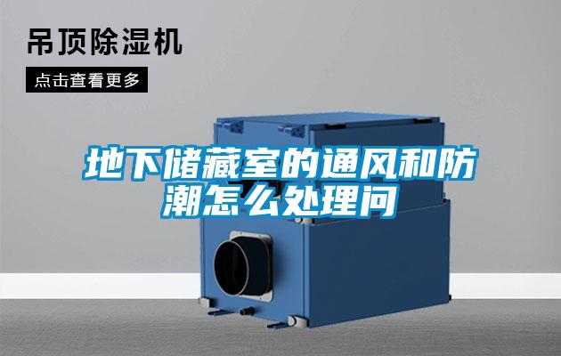 地下儲(chǔ)藏室的通風(fēng)和防潮怎么處理問