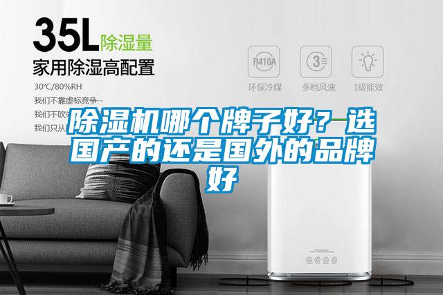 除濕機(jī)哪個(gè)牌子好？選國(guó)產(chǎn)的還是國(guó)外的品牌好
