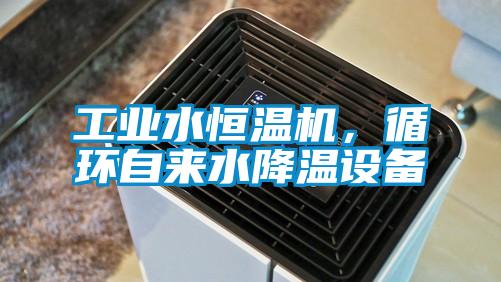 工業(yè)水恒溫機(jī)，循環(huán)自來水降溫設(shè)備