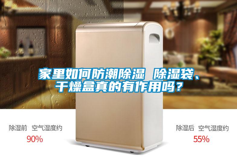 家里如何防潮除濕 除濕袋、干燥盒真的有作用嗎？