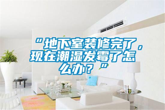 “地下室裝修完了，現(xiàn)在潮濕發(fā)霉了怎么辦？”