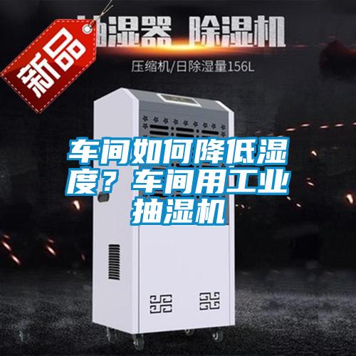 車間如何降低濕度？車間用工業(yè)抽濕機(jī)