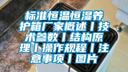 標(biāo)準(zhǔn)恒溫恒濕養(yǎng)護(hù)箱廠(chǎng)家概述丨技術(shù)參數(shù)丨結(jié)構(gòu)原理丨操作規(guī)程丨注意事項(xiàng)丨圖片