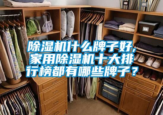 除濕機(jī)什么牌子好,家用除濕機(jī)十大排行榜都有哪些牌子？