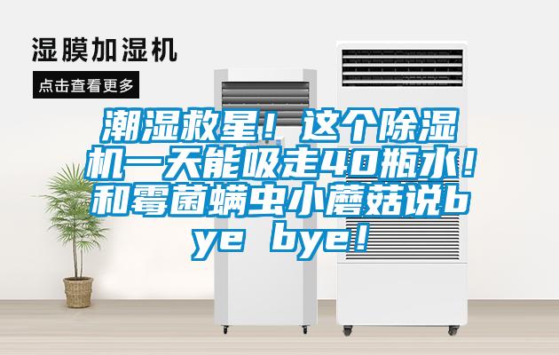 潮濕救星！這個(gè)除濕機(jī)一天能吸走40瓶水！和霉菌螨蟲(chóng)小蘑菇說(shuō)bye bye！