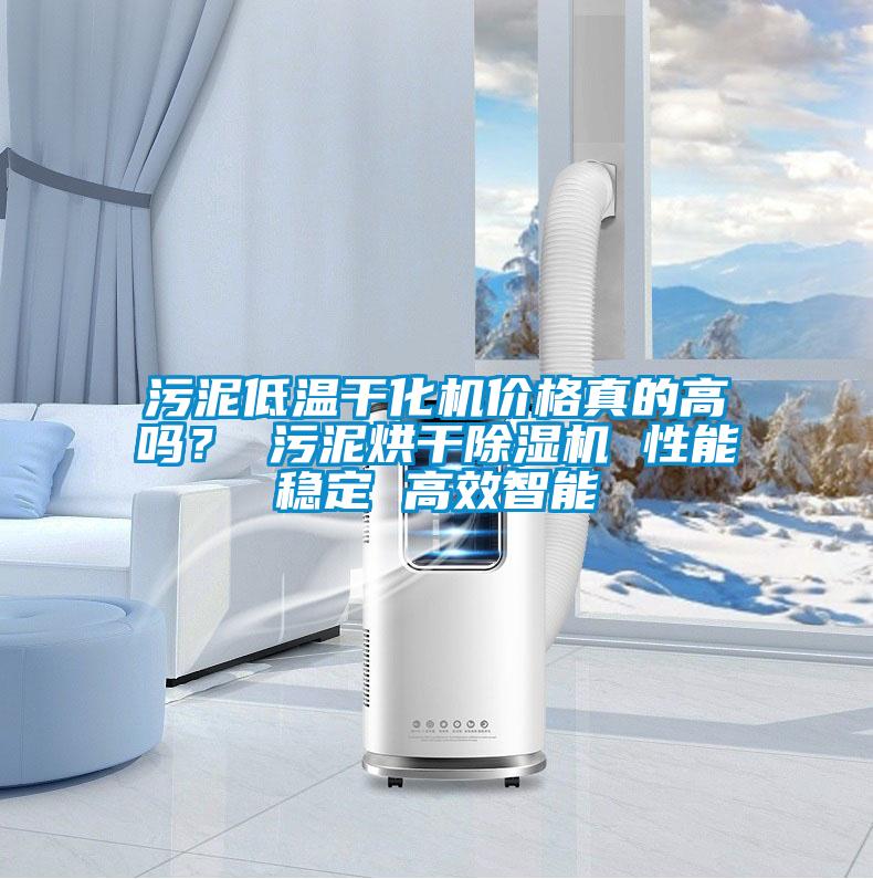 污泥低溫干化機(jī)價(jià)格真的高嗎？ 污泥烘干除濕機(jī) 性能穩(wěn)定 高效智能
