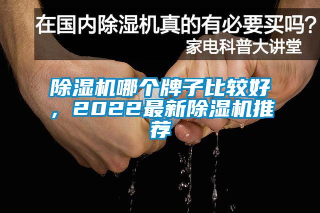 除濕機(jī)哪個牌子比較好，2022最新除濕機(jī)推薦