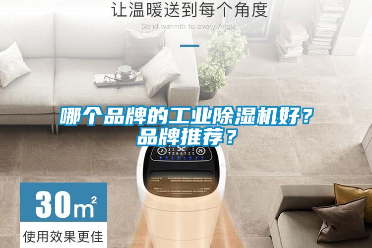 哪個品牌的工業(yè)除濕機好？品牌推薦？