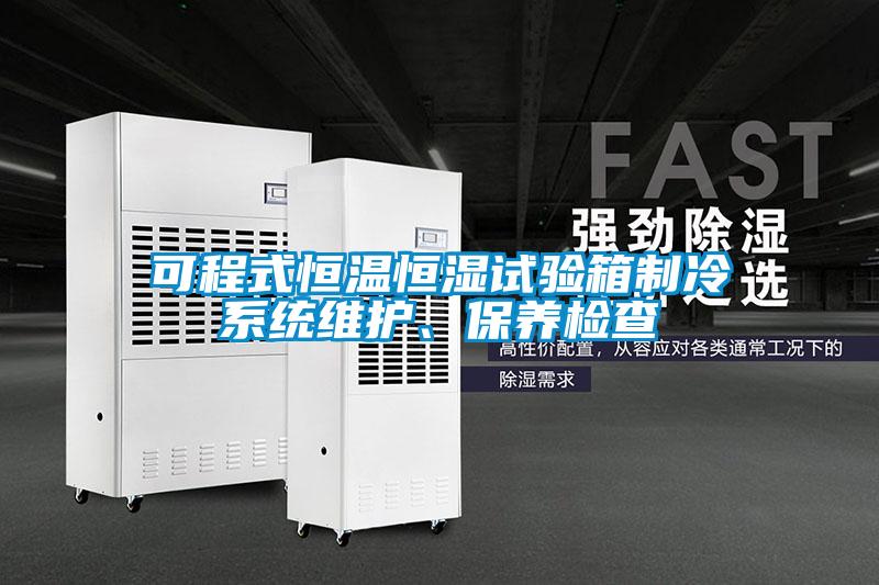 可程式恒溫恒濕試驗(yàn)箱制冷系統(tǒng)維護(hù)、保養(yǎng)檢查
