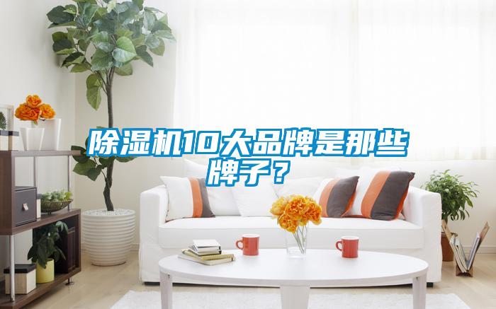 除濕機(jī)10大品牌是那些牌子？