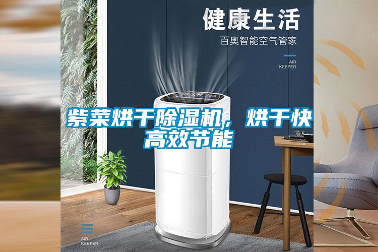 紫菜烘干除濕機(jī)，烘干快高效節(jié)能
