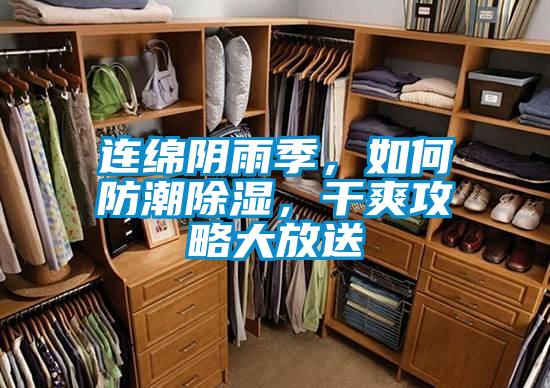 連綿陰雨季，如何防潮除濕，干爽攻略大放送