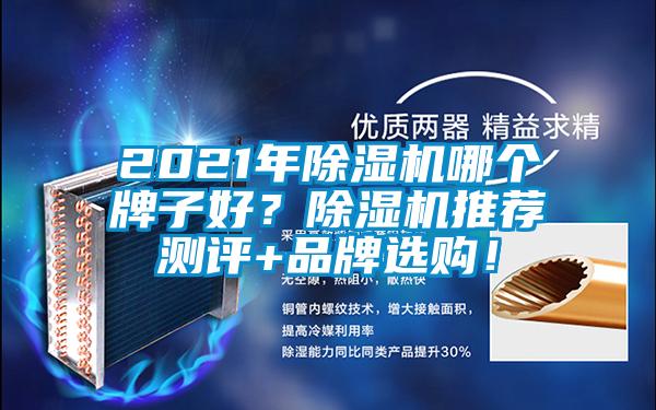 2021年除濕機哪個牌子好？除濕機推薦測評+品牌選購！