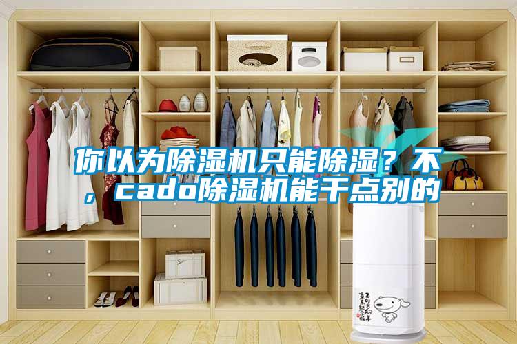 你以為除濕機(jī)只能除濕？不，cado除濕機(jī)能干點(diǎn)別的