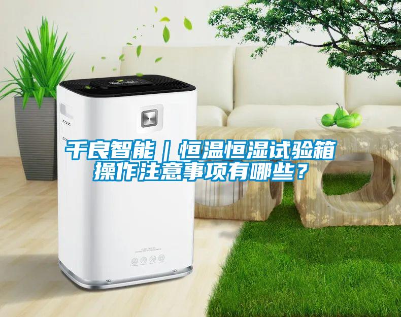 千良智能｜恒溫恒濕試驗(yàn)箱操作注意事項(xiàng)有哪些？