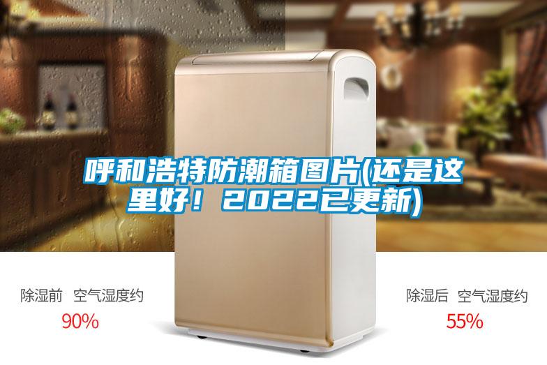 呼和浩特防潮箱圖片(還是這里好！2022已更新)