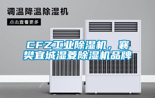 CFZ工業(yè)除濕機(jī)，襄樊宜城濕菱除濕機(jī)品牌