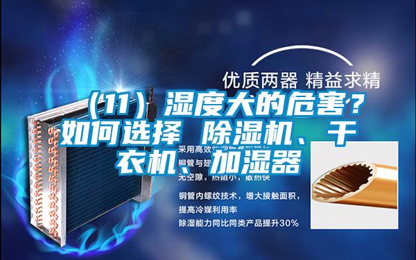 （11）濕度大的危害？如何選擇 除濕機、干衣機、加濕器