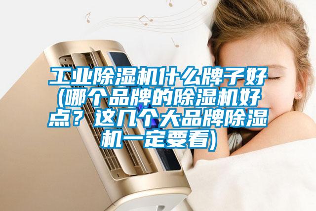 工業(yè)除濕機(jī)什么牌子好(哪個品牌的除濕機(jī)好點(diǎn)？這幾個大品牌除濕機(jī)一定要看)