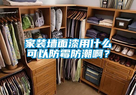 家裝墻面漆用什么可以防霉防潮?。?/></p>
						    <p style=