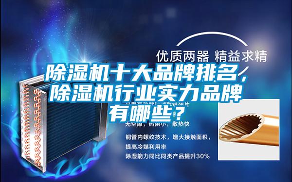 除濕機十大品牌排名，除濕機行業(yè)實力品牌有哪些？