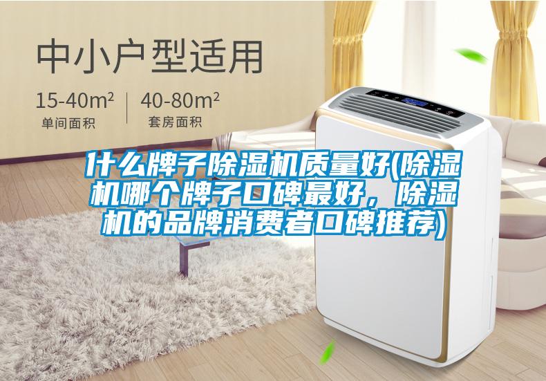 什么牌子除濕機質(zhì)量好(除濕機哪個牌子口碑最好，除濕機的品牌消費者口碑推薦)