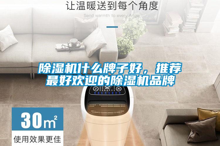 除濕機什么牌子好，推薦最好歡迎的除濕機品牌