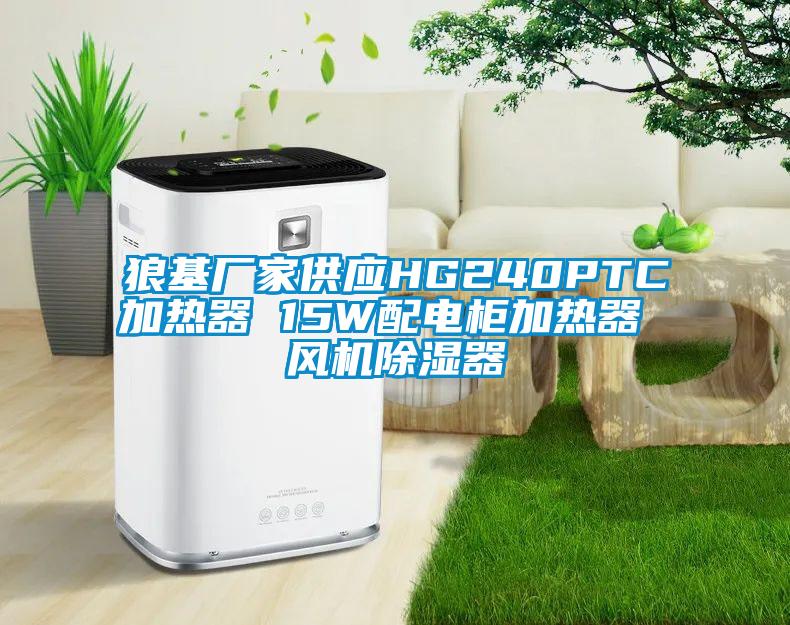 狼基廠家供應(yīng)HG240PTC加熱器 15W配電柜加熱器 風機除濕器