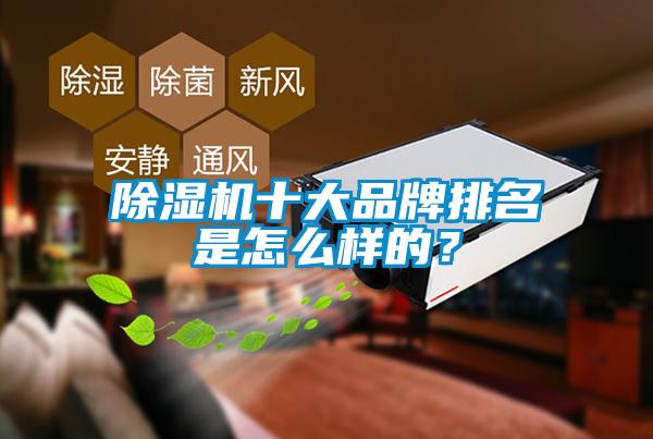 除濕機(jī)十大品牌排名是怎么樣的？