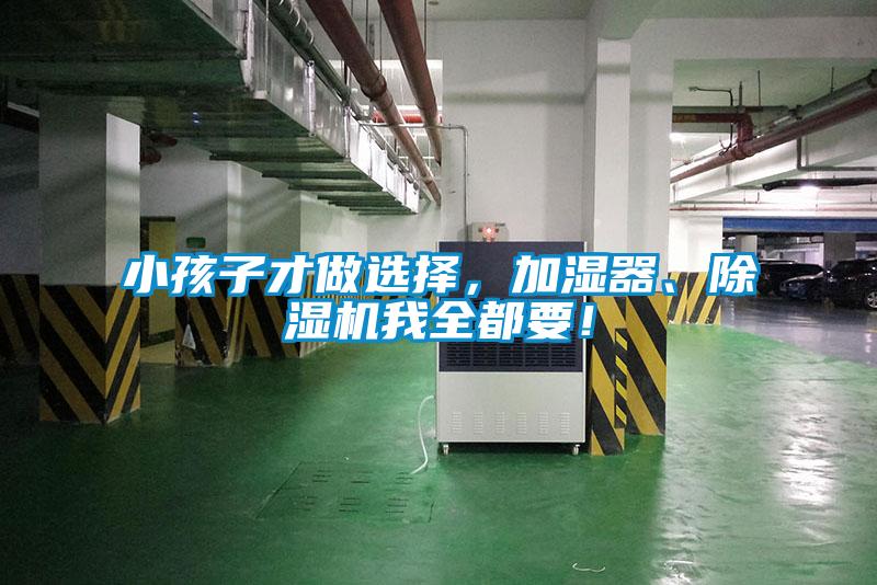 小孩子才做選擇，加濕器、除濕機我全都要！