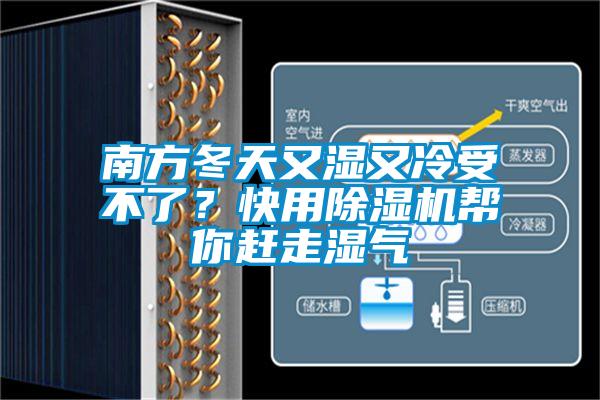 南方冬天又濕又冷受不了？快用除濕機幫你趕走濕氣