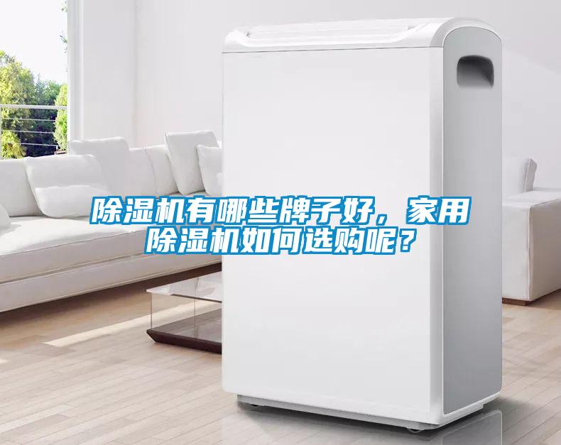 除濕機(jī)有哪些牌子好，家用除濕機(jī)如何選購呢？